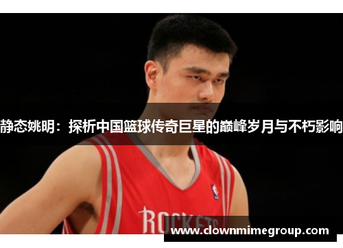 静态姚明：探析中国篮球传奇巨星的巅峰岁月与不朽影响
